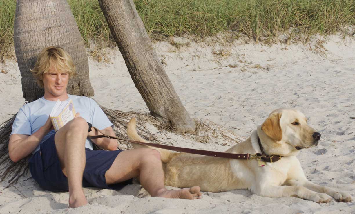 Bastano poche regole per proteggere gli animali dal caldo