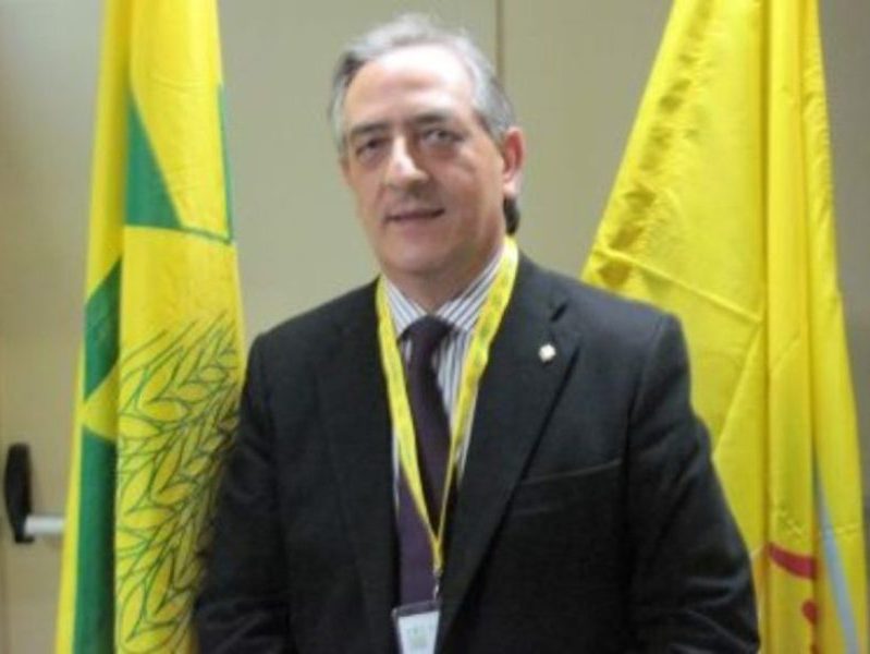 allarme cementificazione in calabria