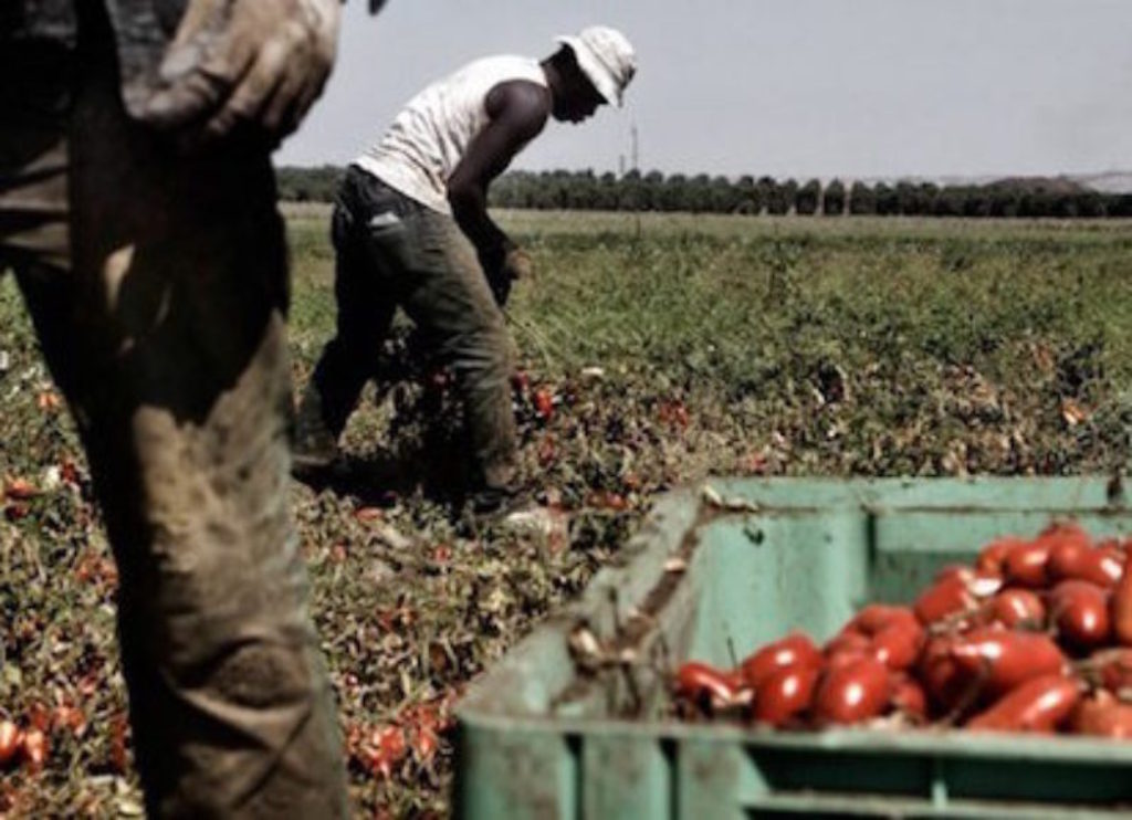 “Il crimine nel piatto degli italiani”: presentato il sesto Rapporto Agromafie sugli affari della mafia nel settore agroalimentare italiano