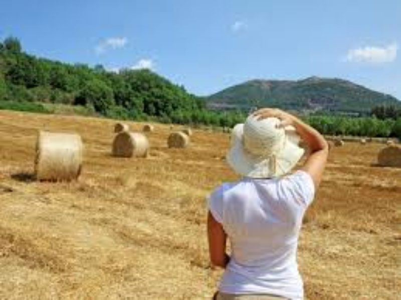 Coldiretti lancia l'allarme: a rischio 120 milioni per lo Sviluppo Rurale, rischiano di tornare nelle casse di Bruxelles se non saranno spesi entro fine anno dalle regioni