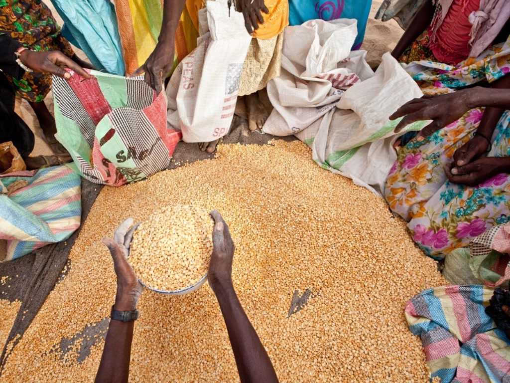 Domani si celebra la Giornata mondiale dell’alimentazione indetta dalla Fao: nel nostro Paese 2,7 milioni di persone costrette a chiedere aiuto per il cibo nell'ultimo anno