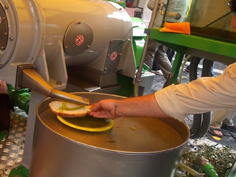 Firmato il decreto direttoriale Mipaaf che fornisce le direttive per le Regioni e le Province autonome per i bandi regionali PNRR per l’ammodernamento dei frantoi oleari