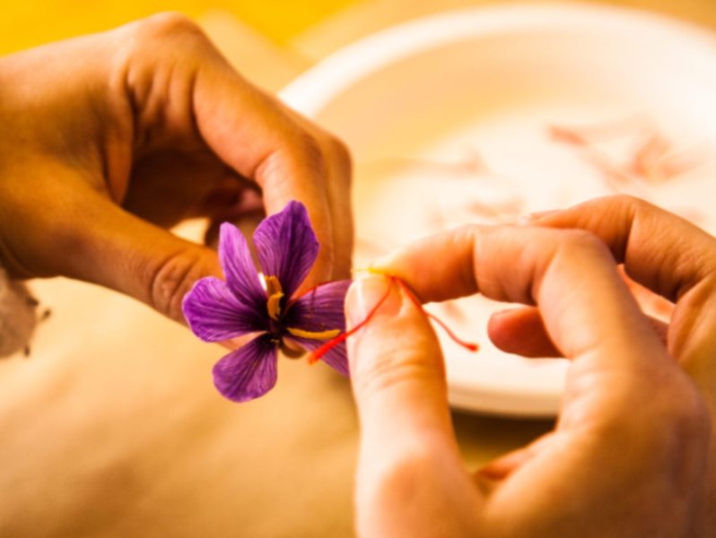 Lo zafferano si è dimostrato efficace contro la sindrome di Stargardt, una rara malattia genetica della vista: i risultati di uno studio italiano