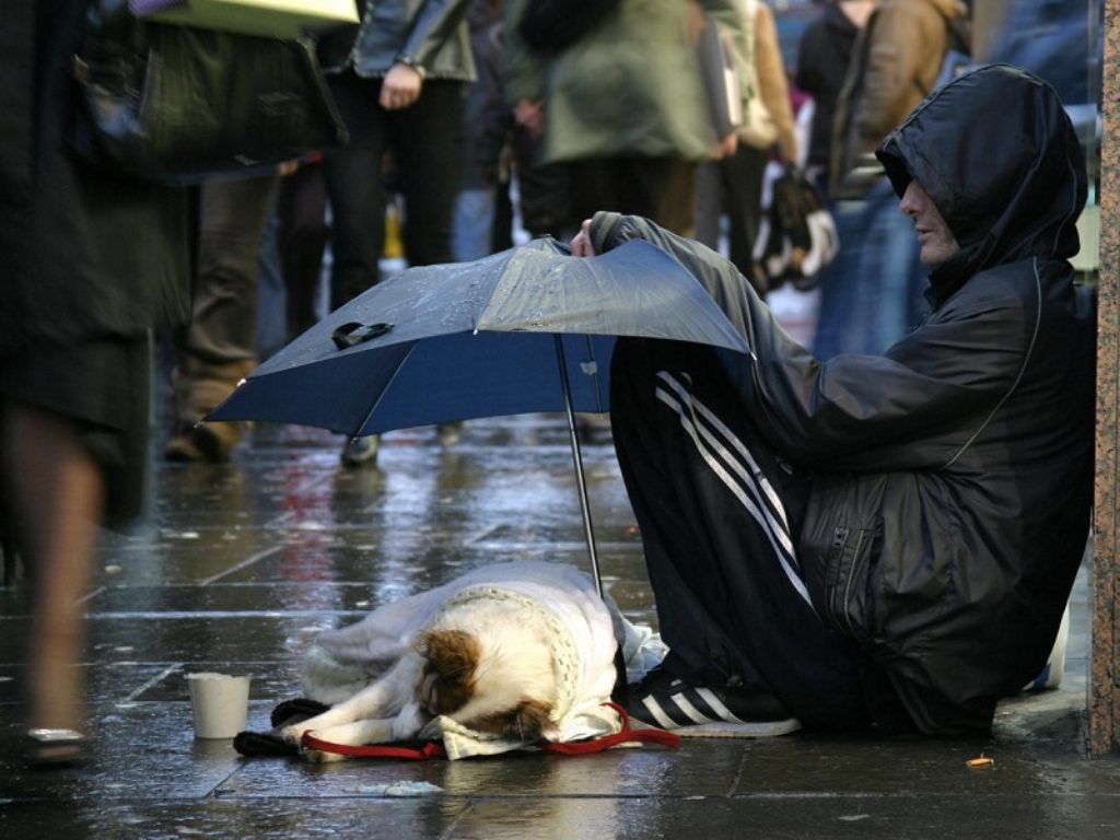 Agea apre il bando per l'affidamento di fornitura di farina in aiuto alimentare agli indigenti in Italia per un importo di 1,25 milioni di euro