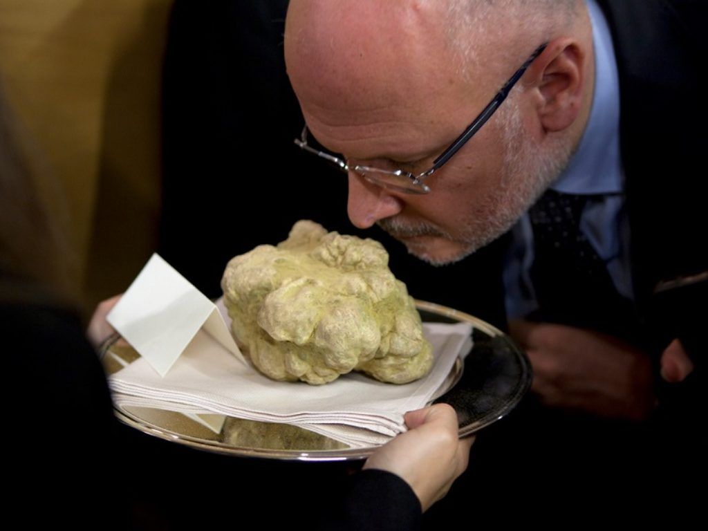 Studio scientifico sui tartufi ha confrontato i genomi di due pregiate specie e ha rivelato le basi genetiche di uno dei cibi più ricchi d’aroma e costosi al mondo