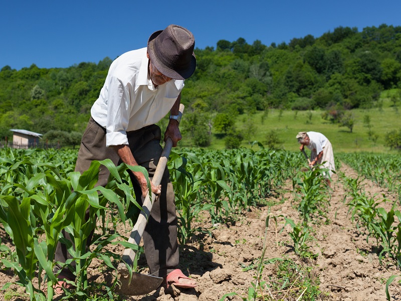 lavori usuranti agricoltura età pensionabile adeguamento