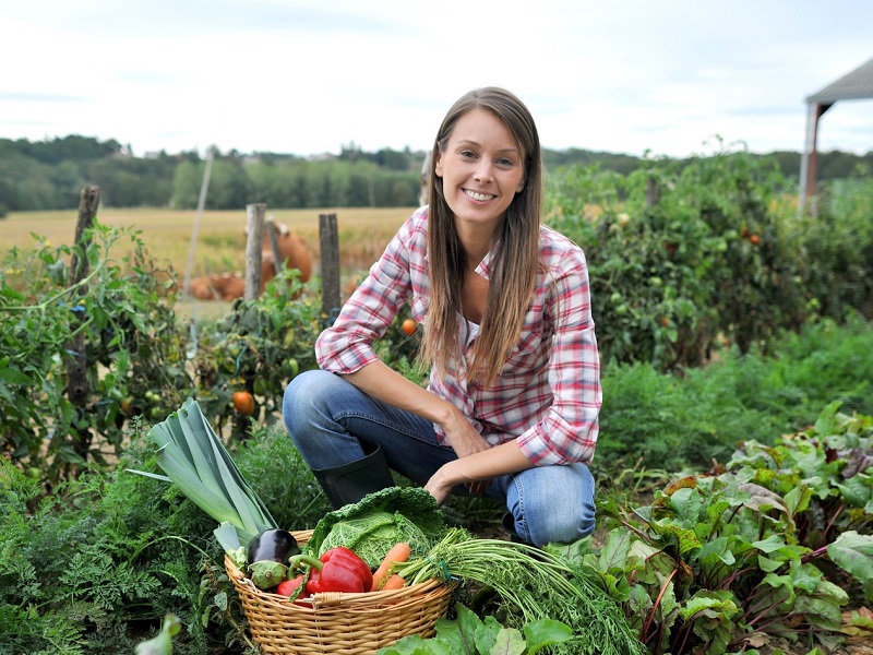 Nellla manovra diverse novità per il settore agricoltura con una particolare attenzione all'imprenditoria femminile e ai giovani: ecco tutte le misure