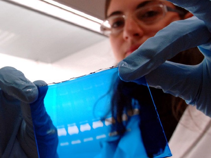 Sclerosi multipla, un algoritmo può predire l'evoluzione della malattia: il sistema si basa sull’analisi del database PROMOPRO-MS, contenenti i dati riportati dai pazienti