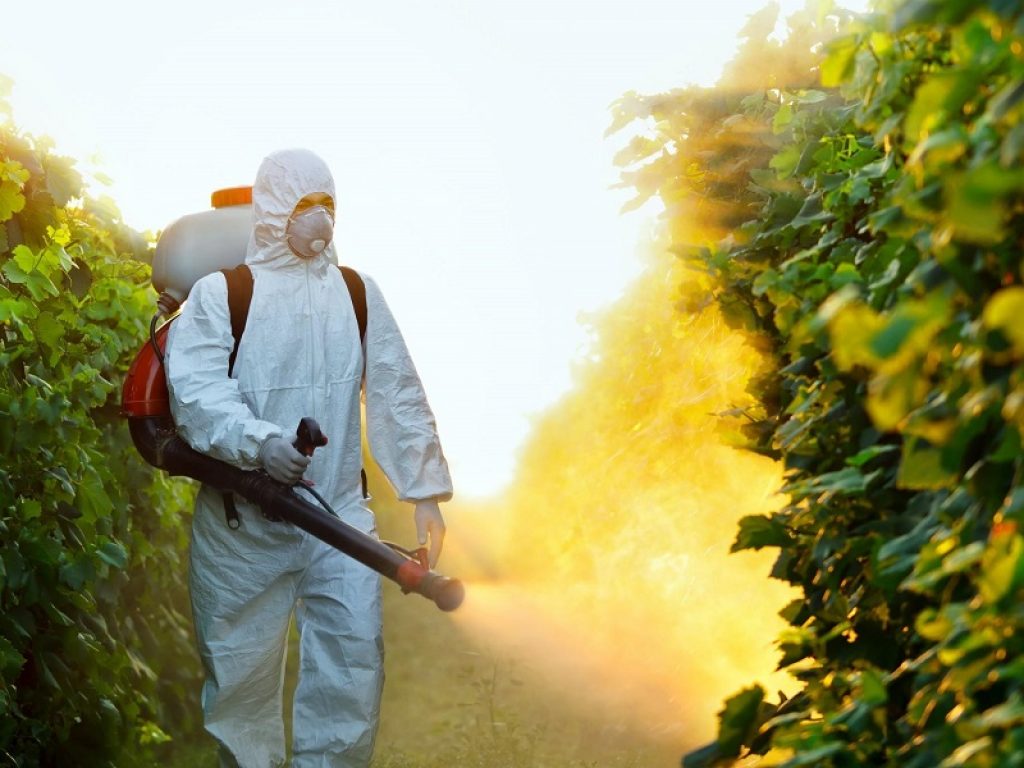 Aumentano i residui di pesticidi negli alimenti: il dato emerge dal rapporto annuale dell'EFSA su oltre 91mila campioni