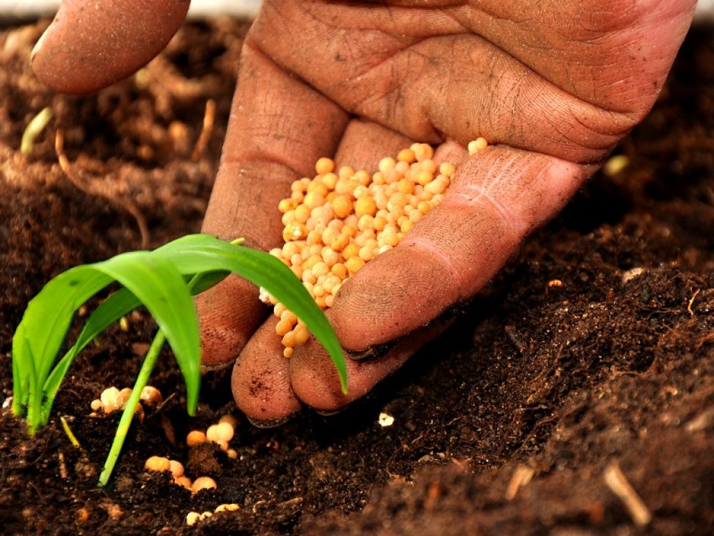 La terra arabile in Italia è la più cara d'Europa. Coldiretti: “L'elevato costo della terra ostacola l'ingresso dei giovani in agricoltura”
