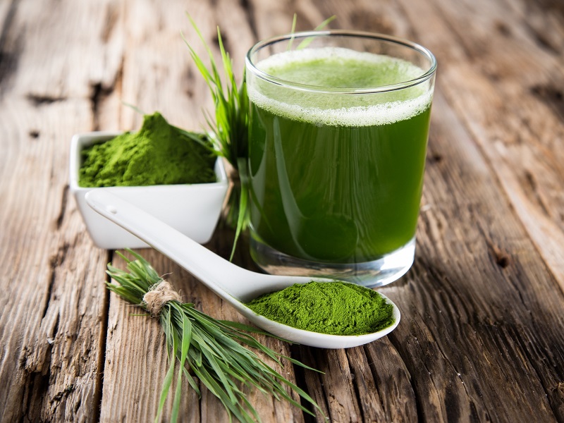 alga spirulina coltivazione geotermia toscana chiusdino