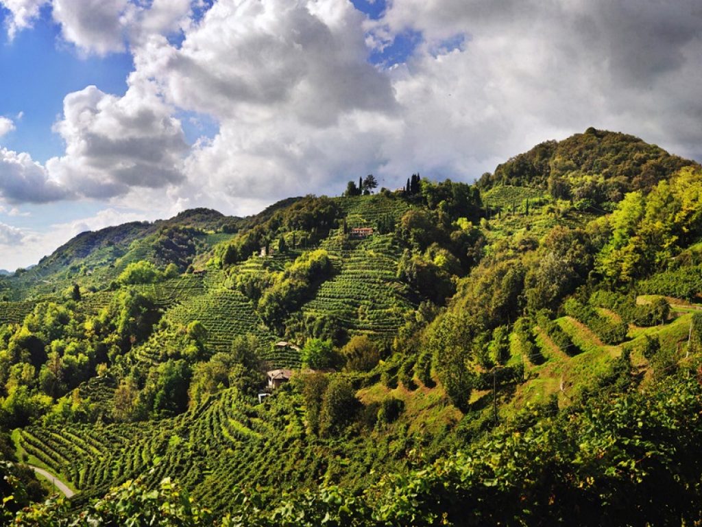 Il decimo Protocollo Viticolo del Consorzio di Tutela del Conegliano Valdobbiadene Prosecco Docg è sempre più all'insegna della sostenibilità