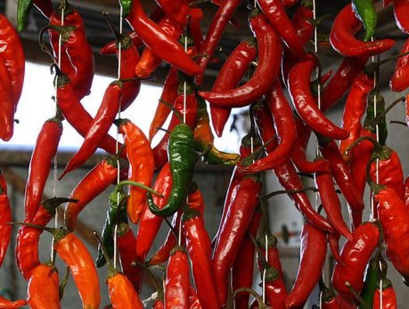 Esistono cibi che ci possono aiutare a contrastare il dolore: più peperoncino, salmone, olio extravergine di oliva a crudo e cipolla rossa in tavola