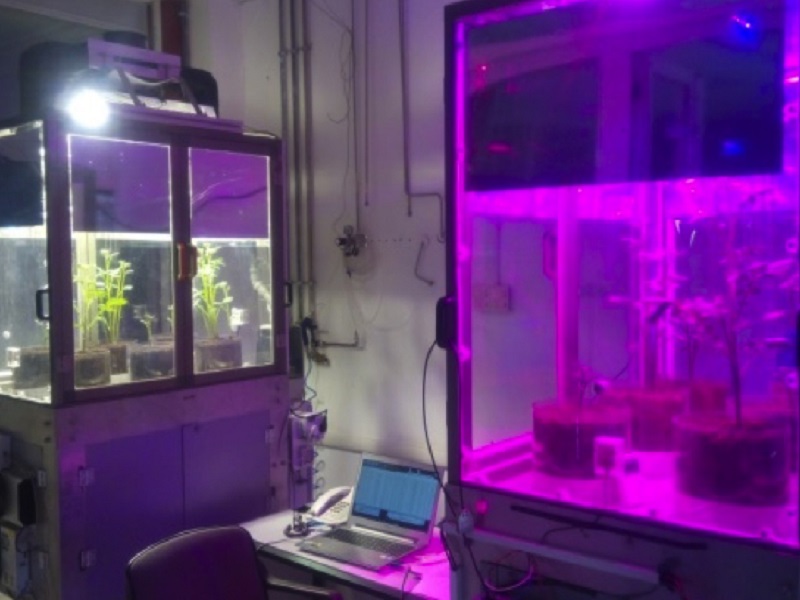 enea open day ricerca scientifica