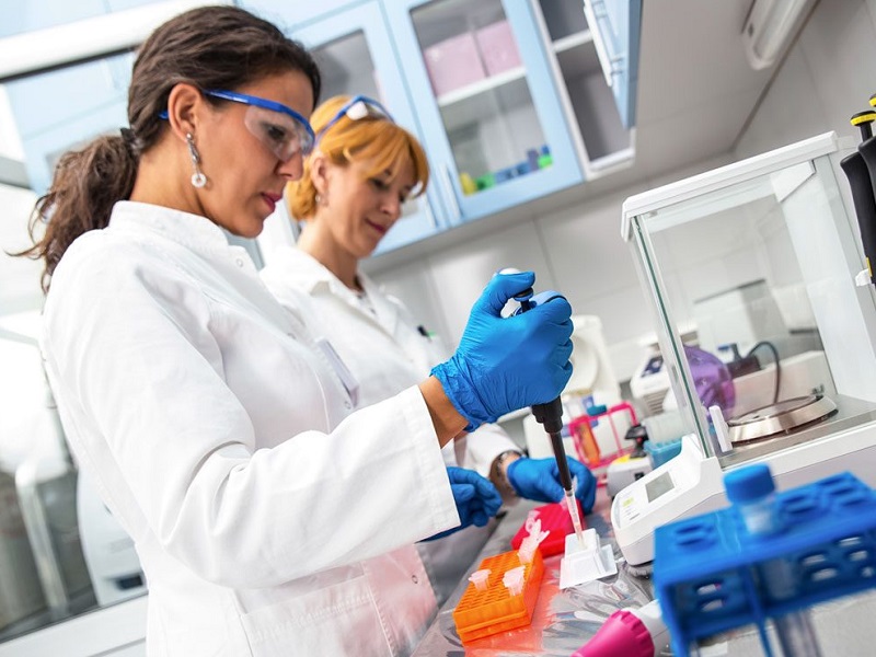 Meningite criptococcica: secondo uno studio pubblicato sul NEJM, per la cura basta una singola dose di amfotericina B liposomiale