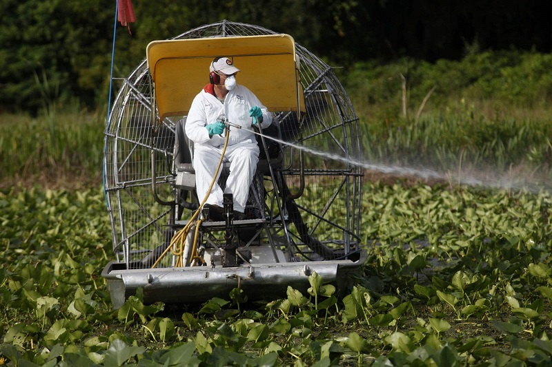 interferenti endocrini glifosato pesticidi antiparassitari unione europea
