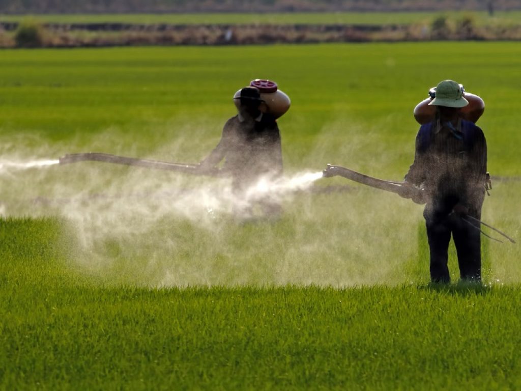glifosato pesticidi pericoli