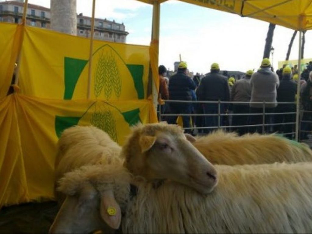 Coldiretti mette a disposizione la sua rete di fattorie didattiche per offrire sostegno ai genitori e ai bambini