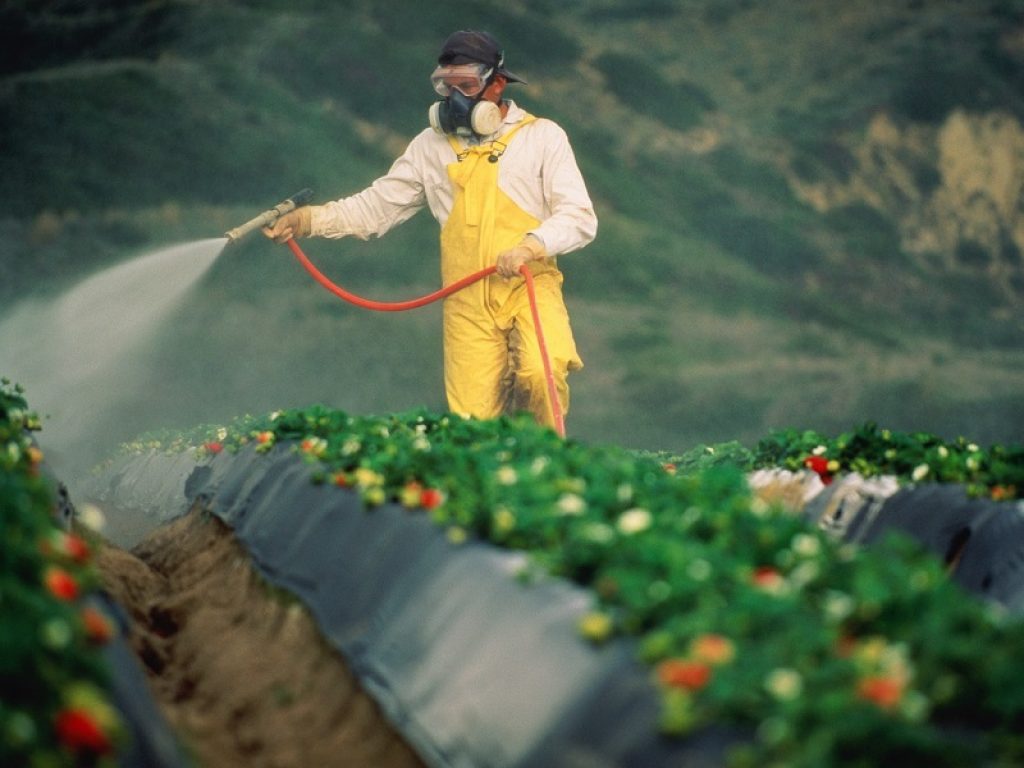 Indagine Efsa sui pesticidi nei prodotti UE: il 96% rispetta la legge, il dato medio italiano di residui chimici a tavola è solo dello 0,9%