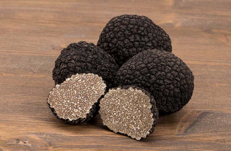 Unesco, l'annuncio della la sottosegretaria alla Cultura Borgonzoni: "Cerca e cavatura del tartufo riconosciuta patrimonio dell’umanità"