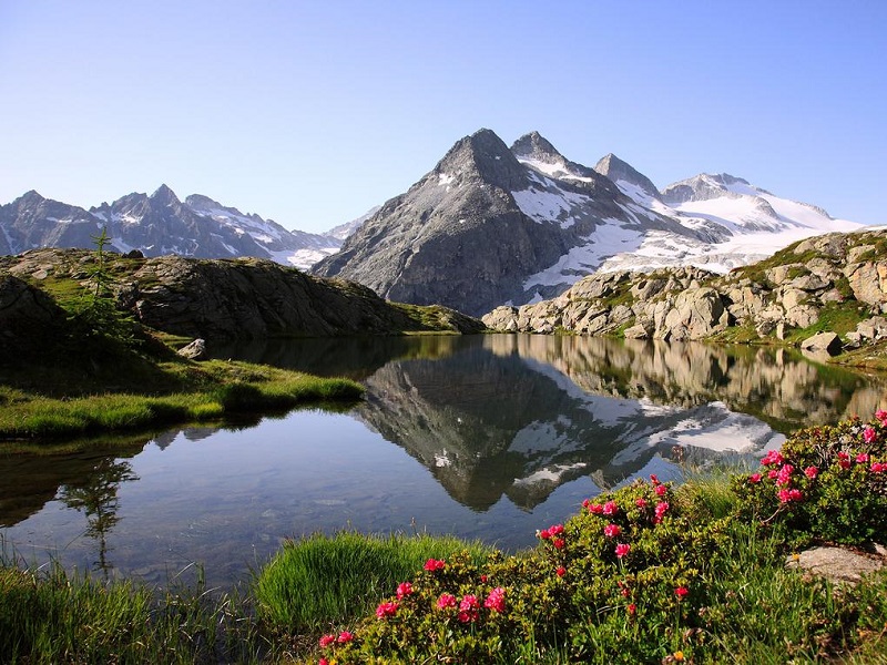 Il Ministero dell'Ambiente ha stanziato 10 milioni di euro per l'acquisto di mezzi elettrici o ibridi per le attività di osservazione e prevenzione in parchi e aree marine protette 