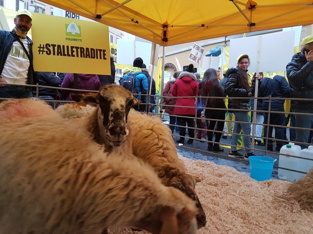 allevatori protesta ricostruzione terremoto