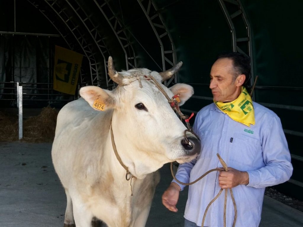 Sono oltre 200mila gli allevatori, i pastori e gli agricoltori che il Primo Maggio resteranno al lavoro per non lasciare soli i propri animali nelle stalle e sui pascoli o per seguire gli ospiti negli agriturismi.