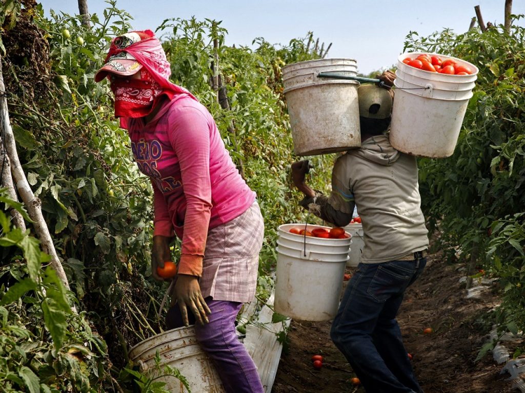 caporalato estero importazioni
