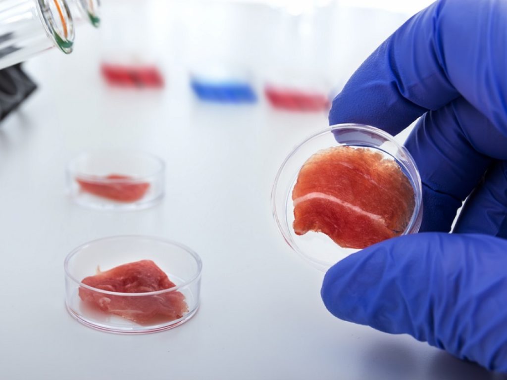 carne sintetica laboratorio