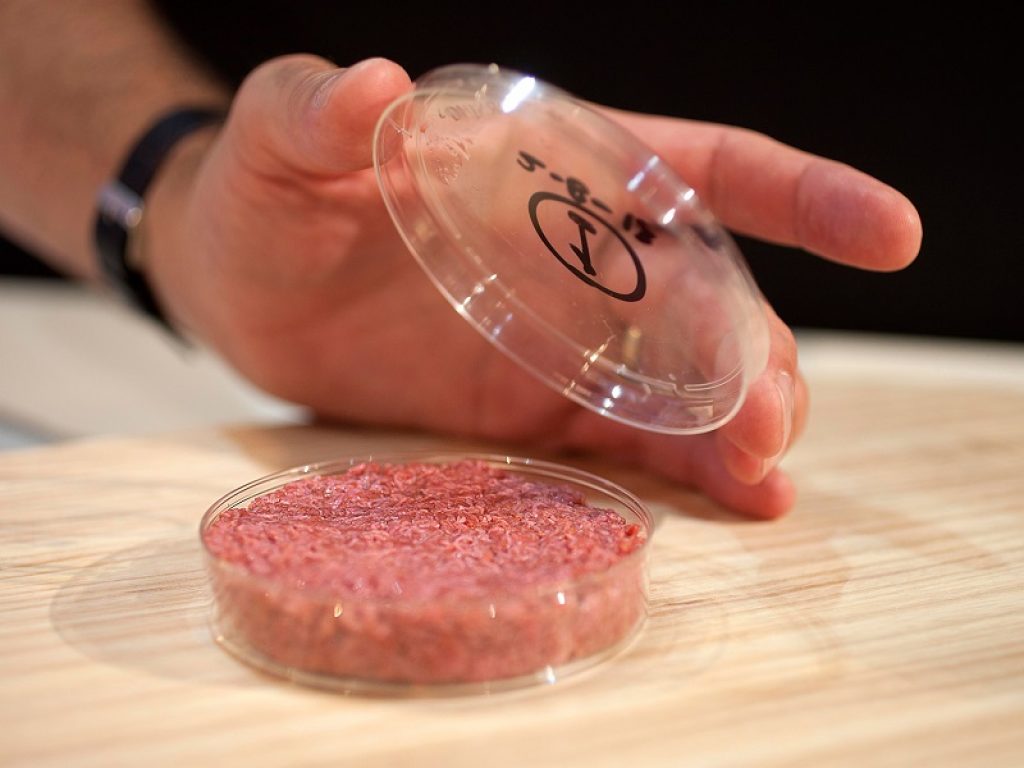 La Food and Drug Administration (Fda) ha approvato la carne in provetta della Upside Foods: è un prodotto a base di carne ottenuto da cellule animali