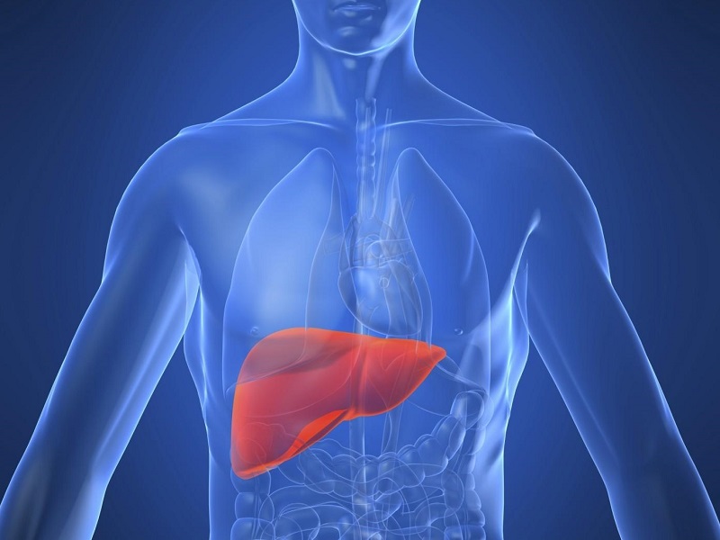 Steatoepatite non alcolica: elafibranor, farmaco con meccanismo d'azione duplice, non ha raggiunto l'obiettivo principale in uno studio di Fase III