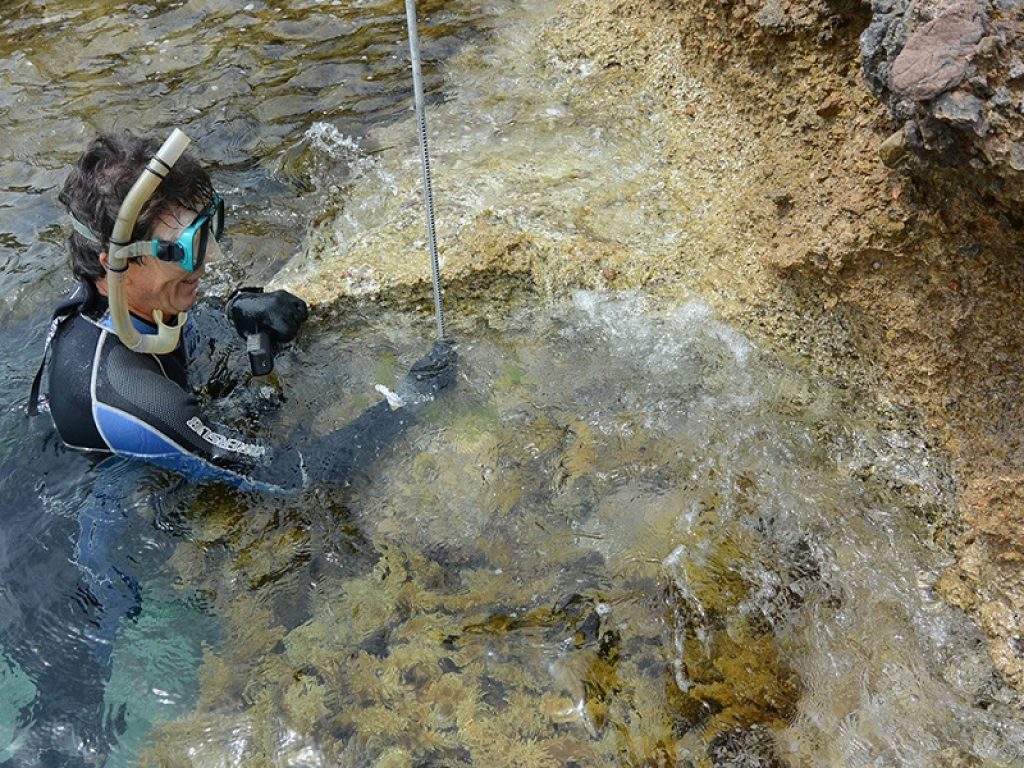 misurazione acque mediterraneo