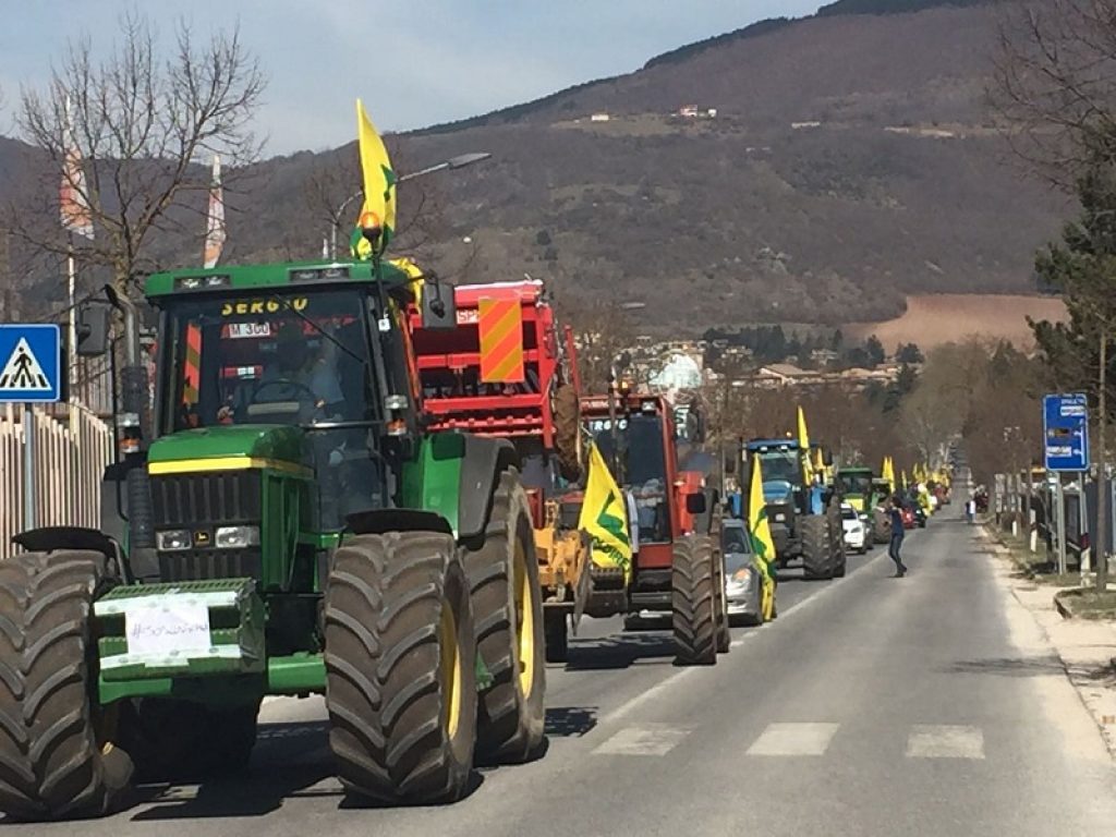 Le agevolazioni fiscali sul gasolio agricolo non subiranno alcun ridimensionamento. Lo assicura la Ministra delle Politiche Agricole Teresa Bellanova