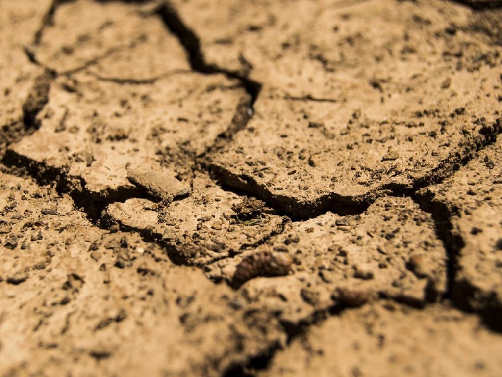 stato di calamità clima caldo estate siccità agricoltura