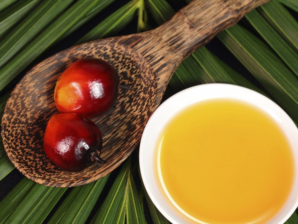 I prodotti che contengono olio di palma sono i più sgraditi dagli italiani e spariscono dal carrello della spesa secondo un'indagine Coldiretti. Balzo in avanti per i prodotti integrali e salutistici