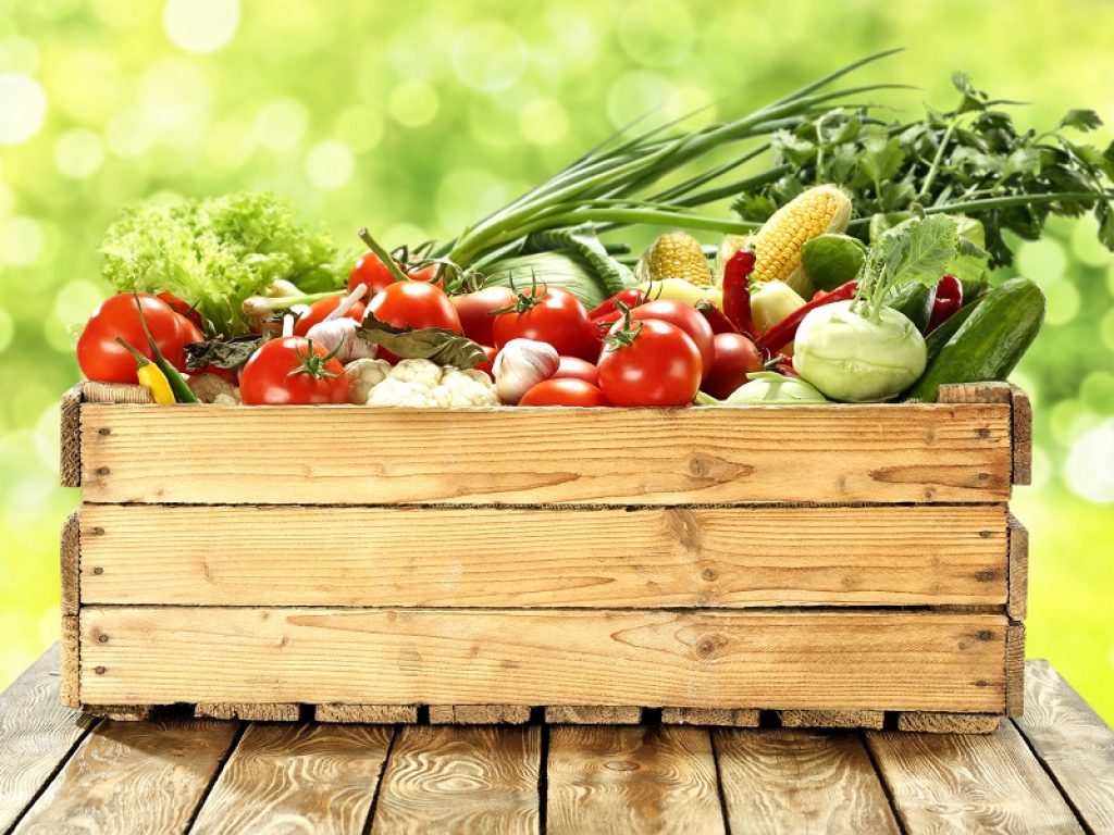 Patto tra Unaproa e Coldiretti a Macfrut per promuovere iniziative di sostegno e sviluppo del comparto ortofrutticolo italiano