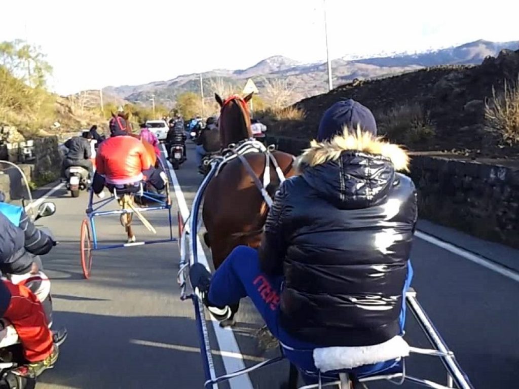 corse clandestine di cavalli