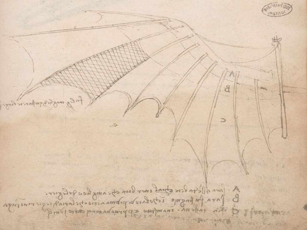 mostra leonardo da vinci montepulciano