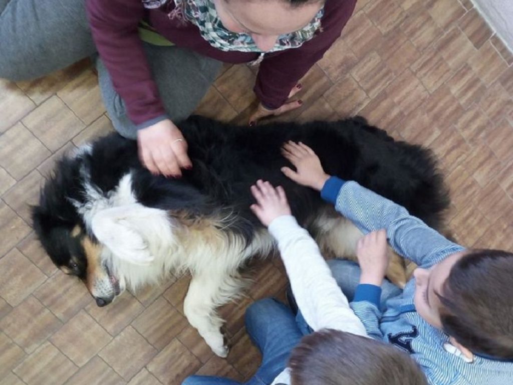 cane scuola enci progetto di te mi fido