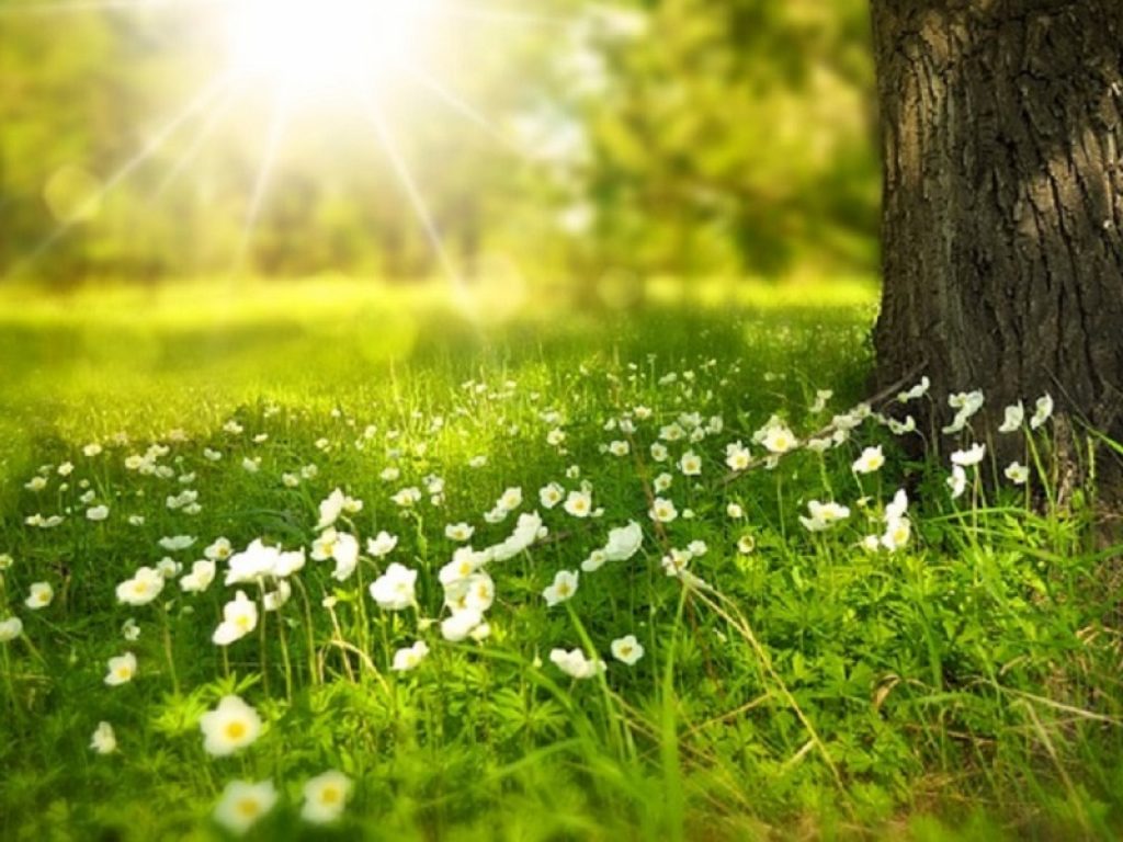 previsioni meteo domani sole caldo