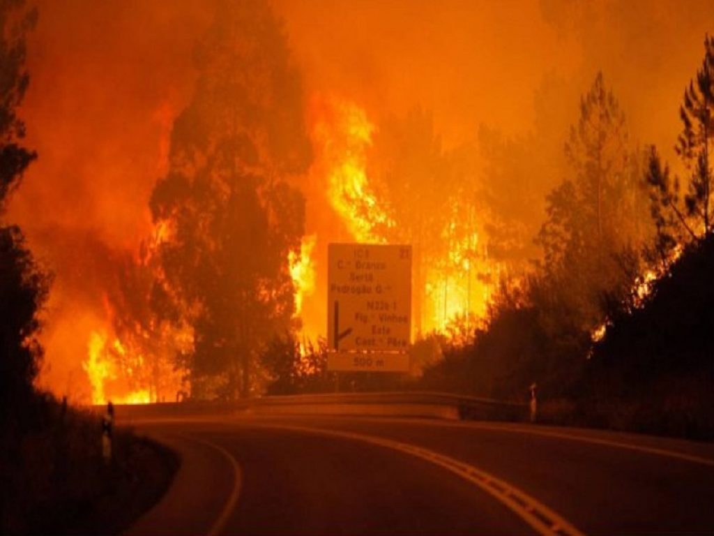 Incendio_Portogallo