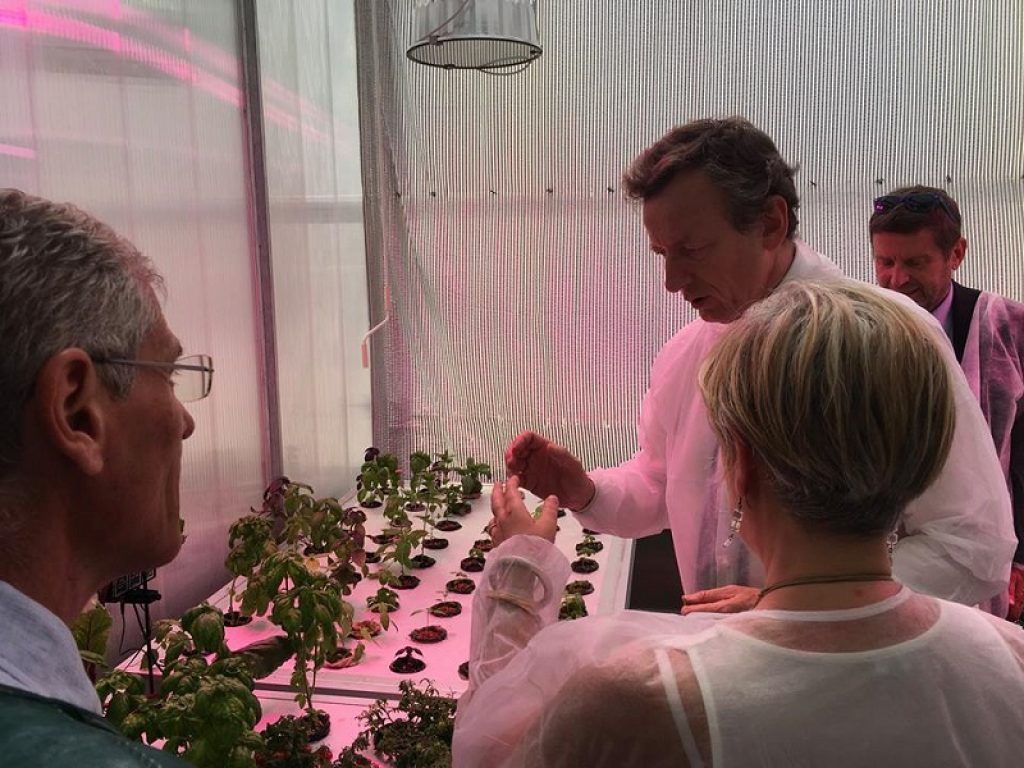 enea agenzia spaziale ricerca missioni spazio