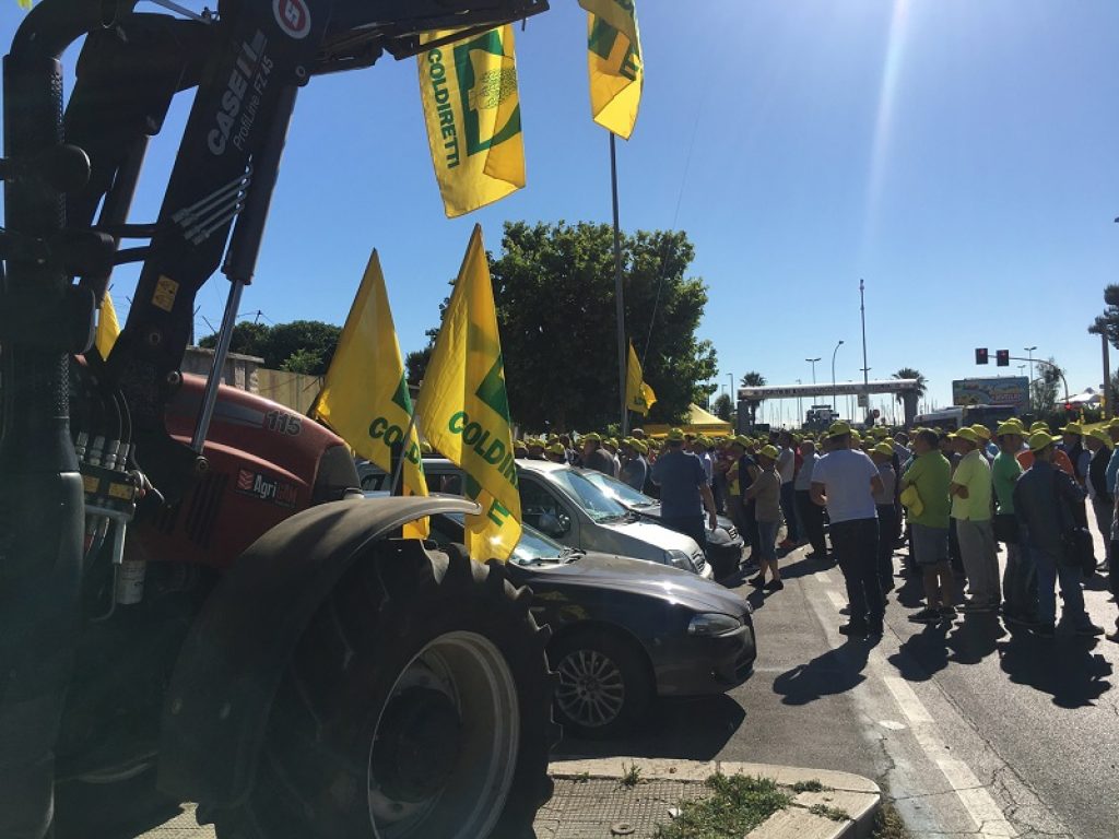 guerra del grano speculazioni pasta coldiretti protesta