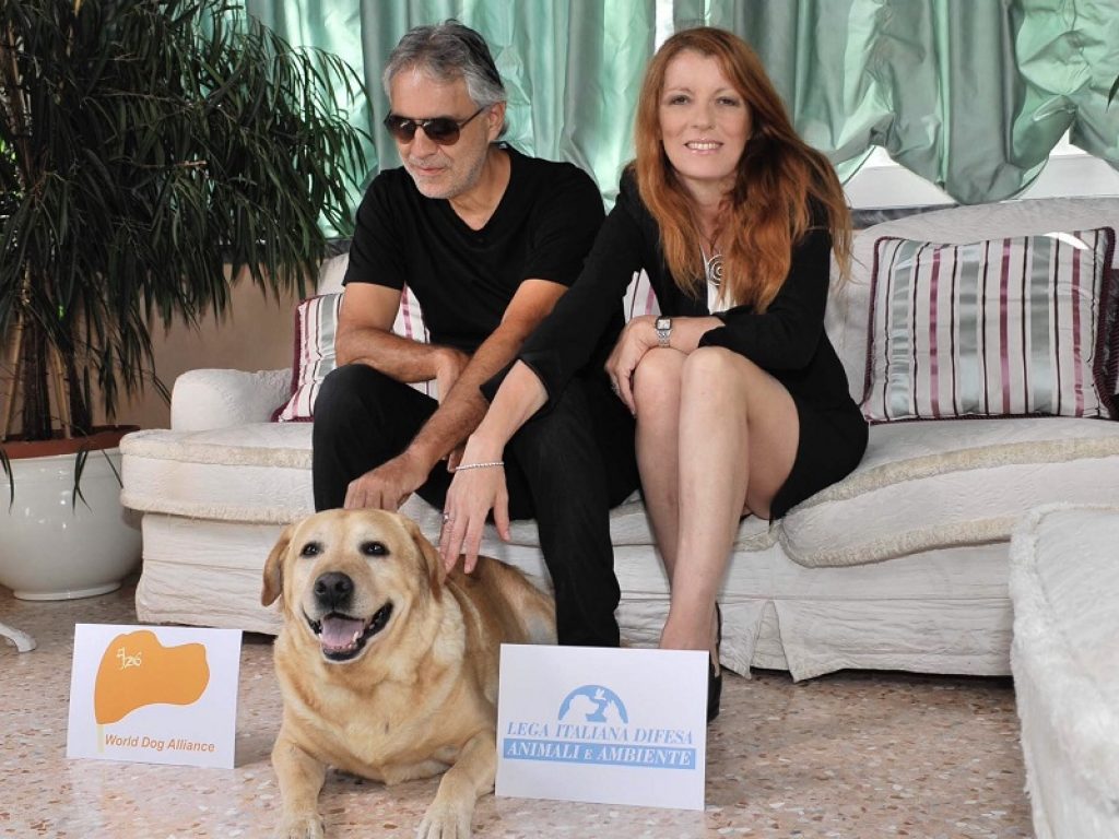 asia cina corea carne di cane consumo bok nal