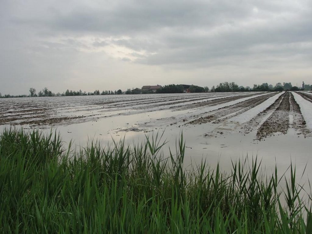 grandine allagamenti campi coltivazioni