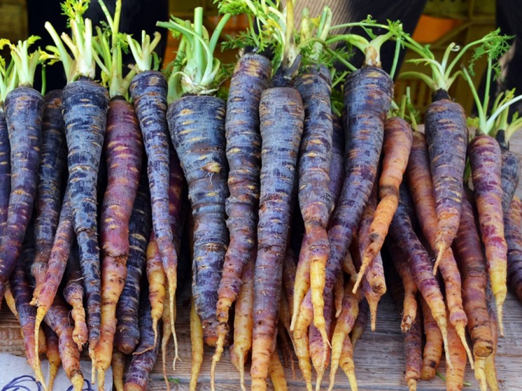 carote viola superfood
