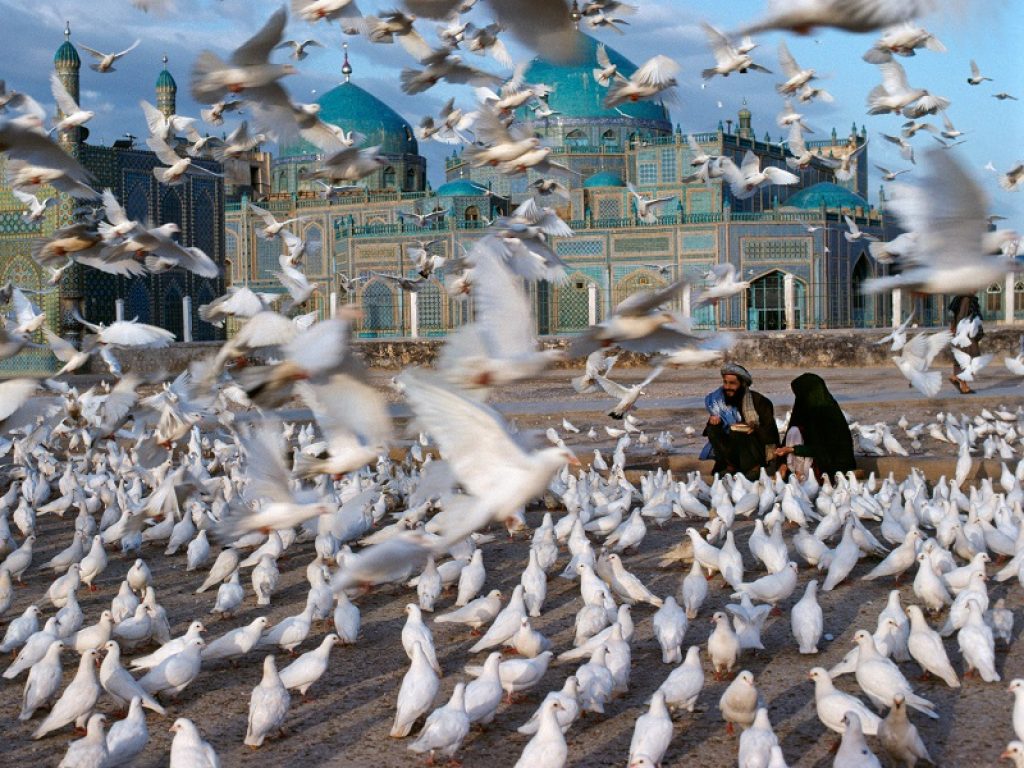 mostra icons steve mccurry