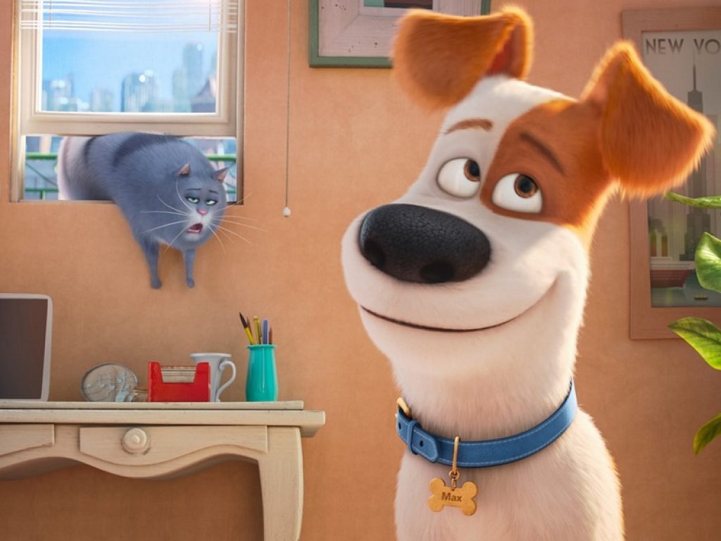 pets vita da animali cartone animato cinema