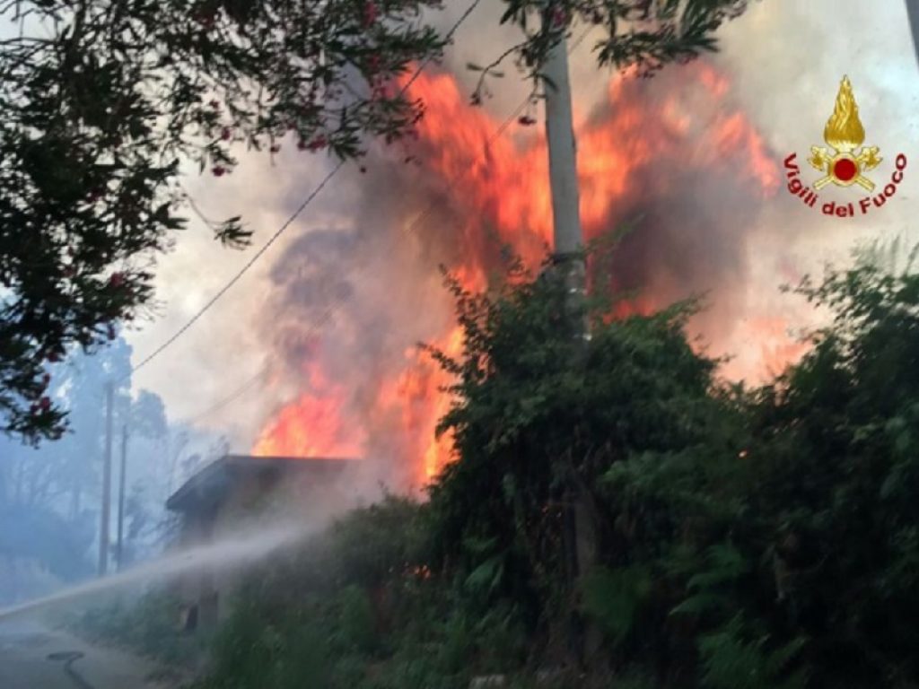 incendi italia piromani