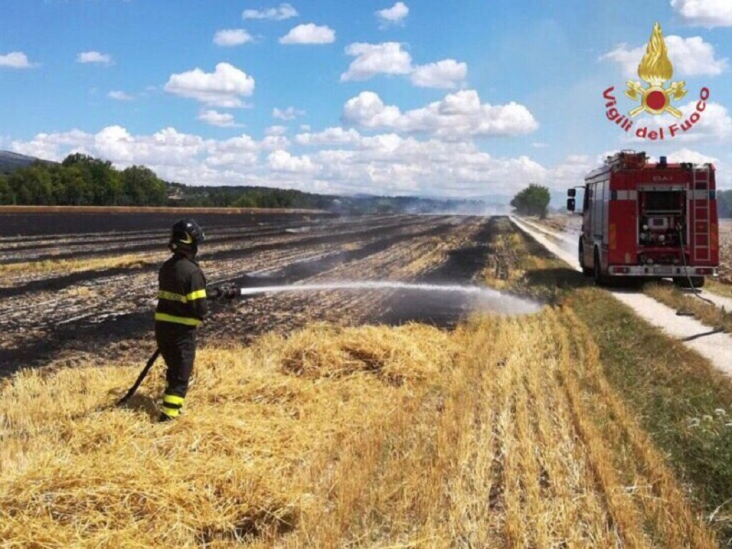 incendi agricoltura siccità